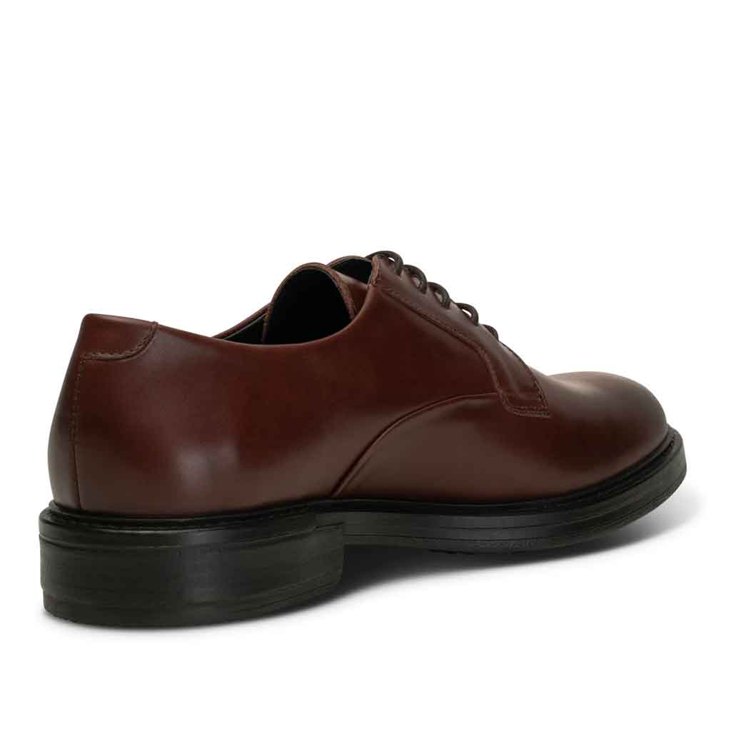 Shoe the Bear Stanley Derby Shoe - Chestnut - re-souL