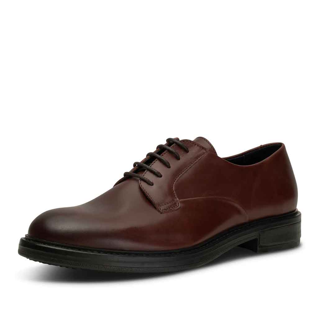 Shoe the Bear Stanley Derby Shoe - Chestnut - re-souL